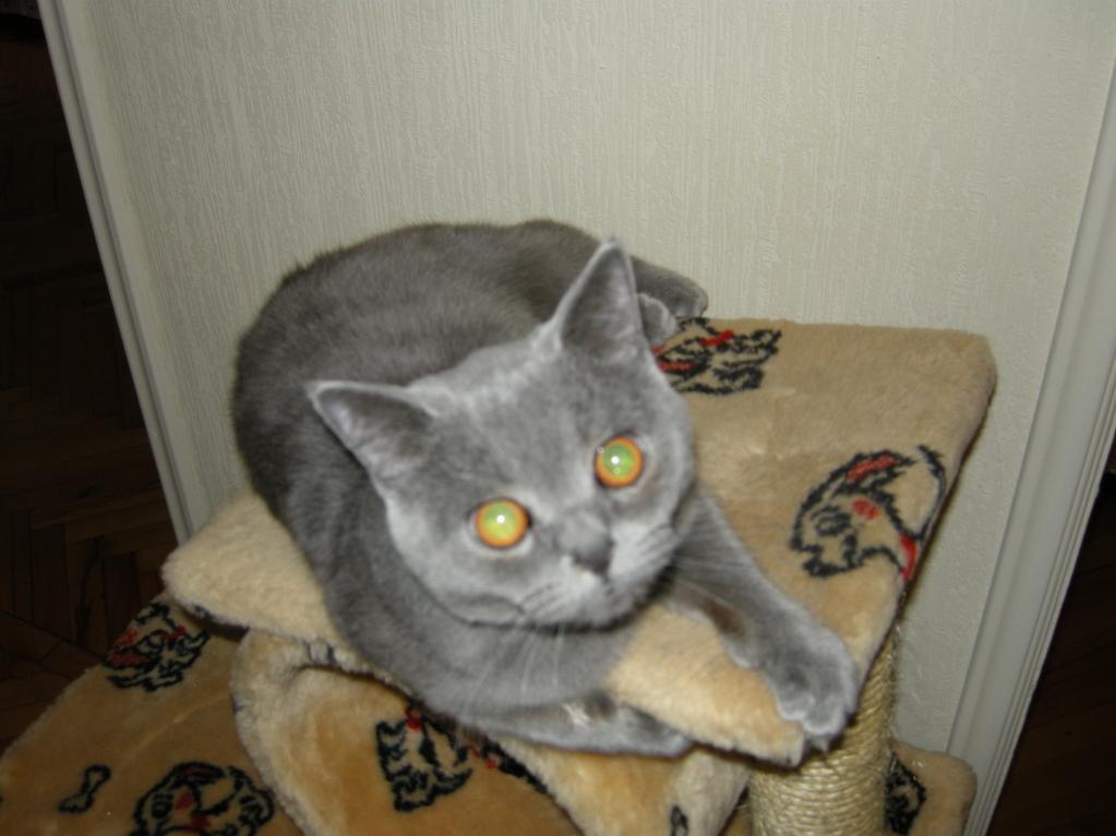8мес.