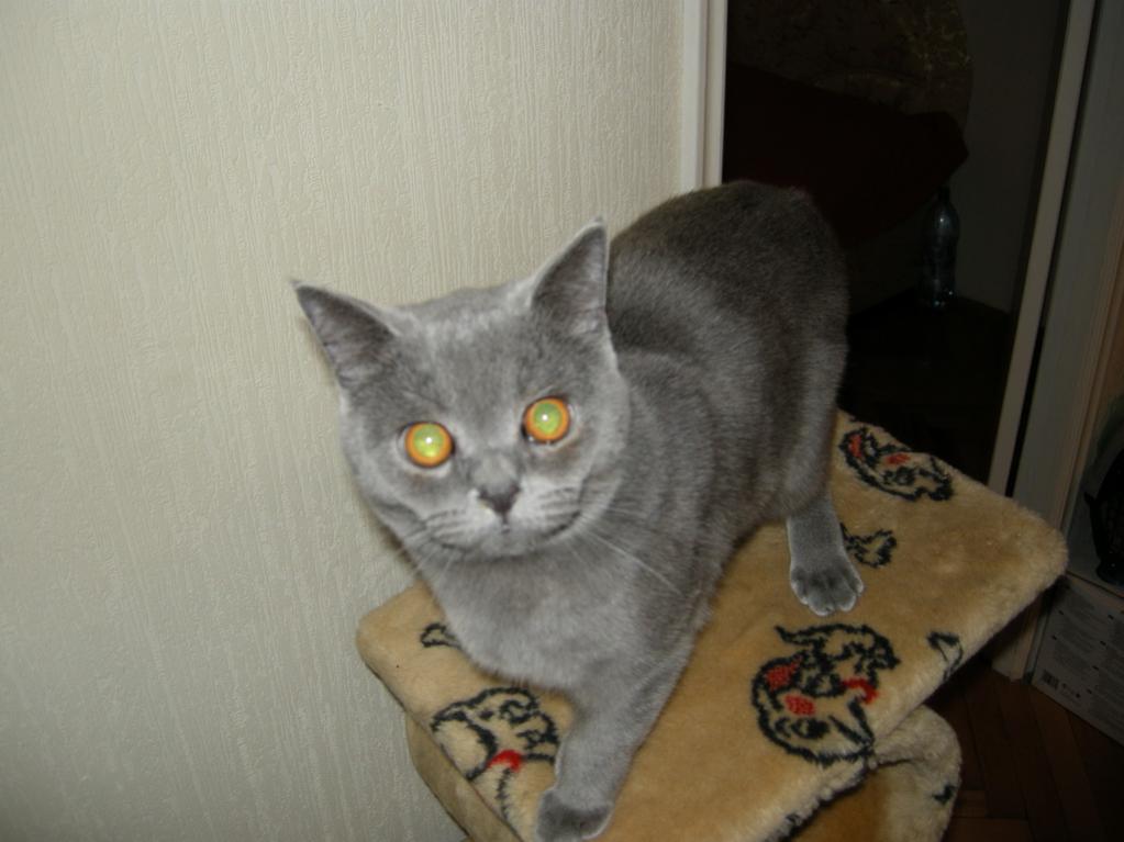 8мес.