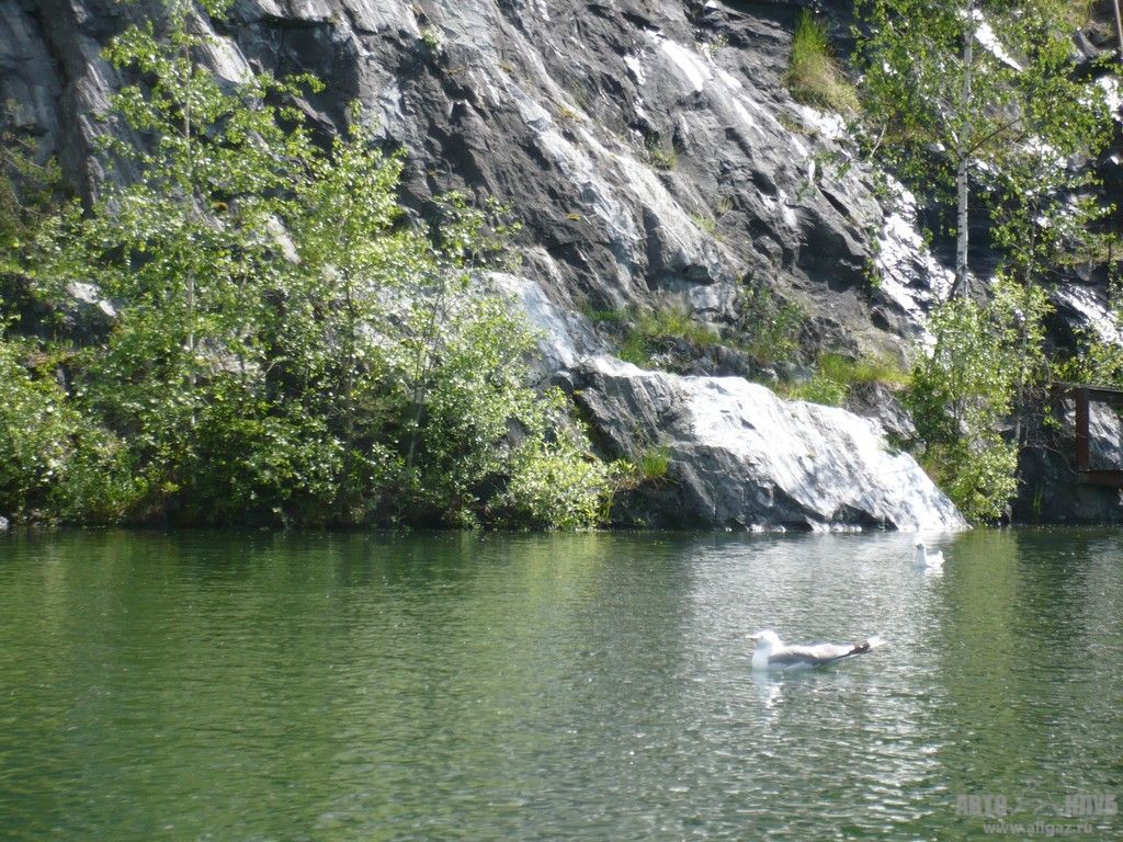 9p1020830