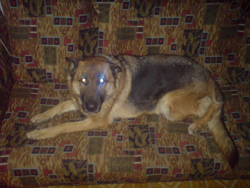 DSC00057