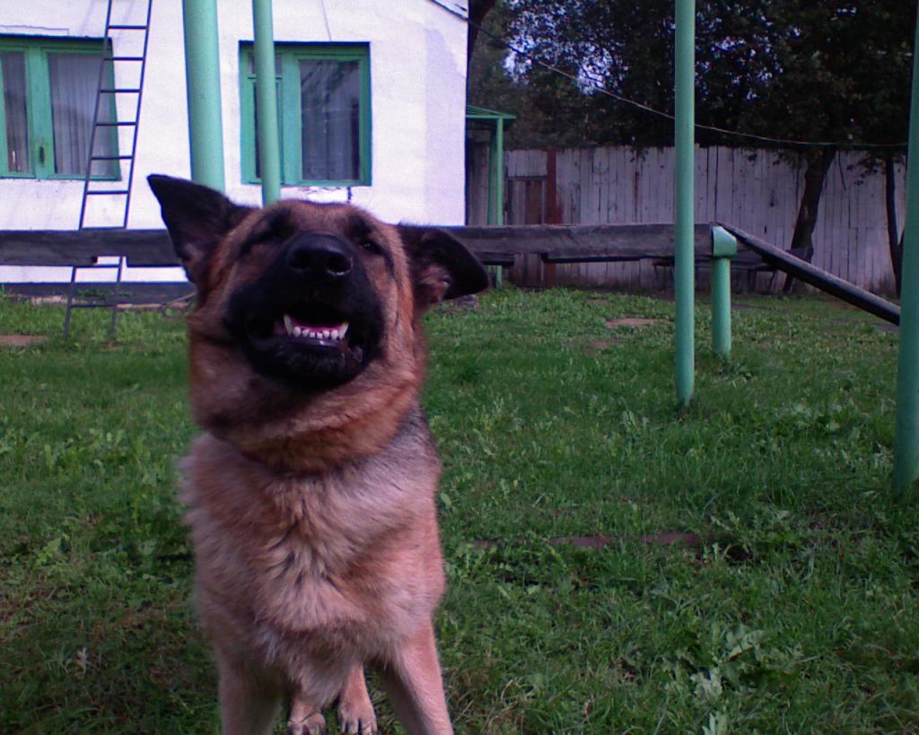 DSC00100