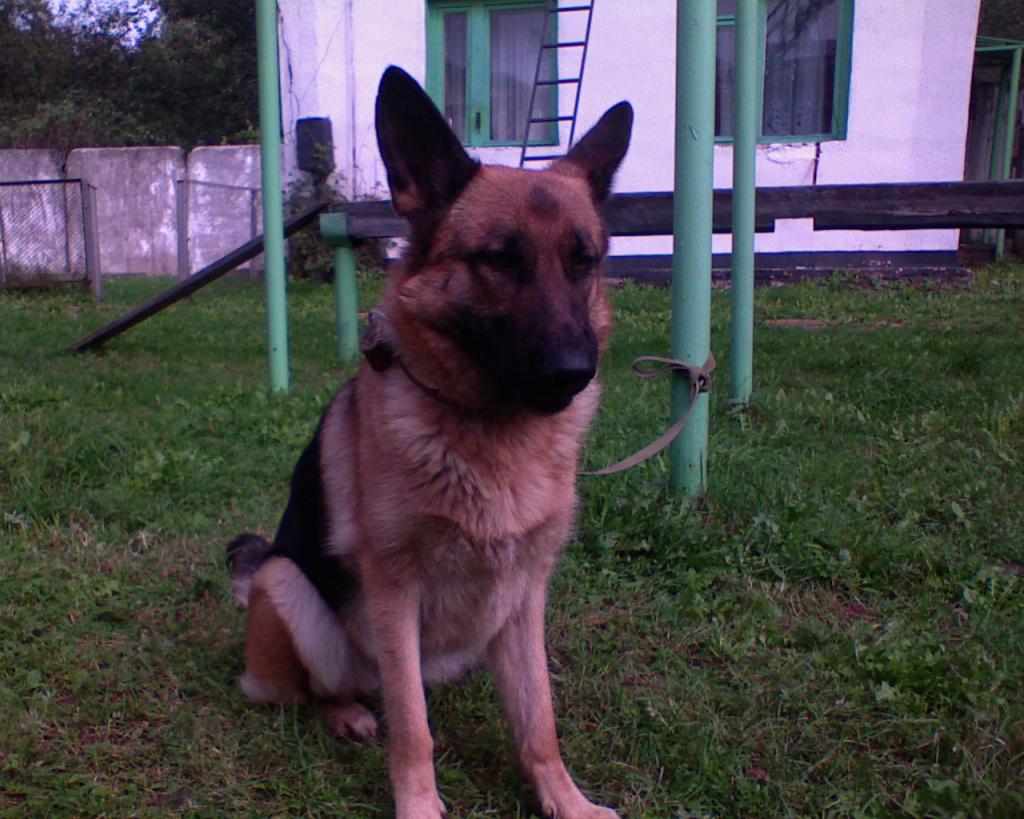 DSC00101