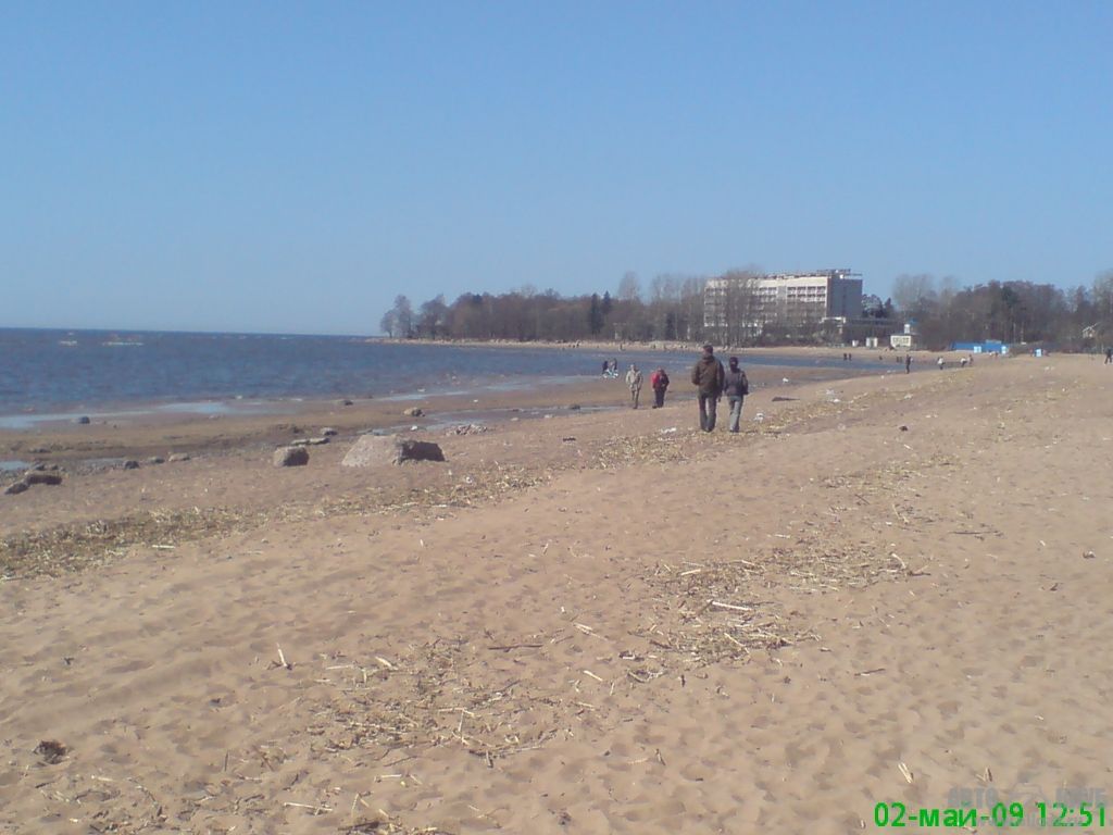Dsc00175
