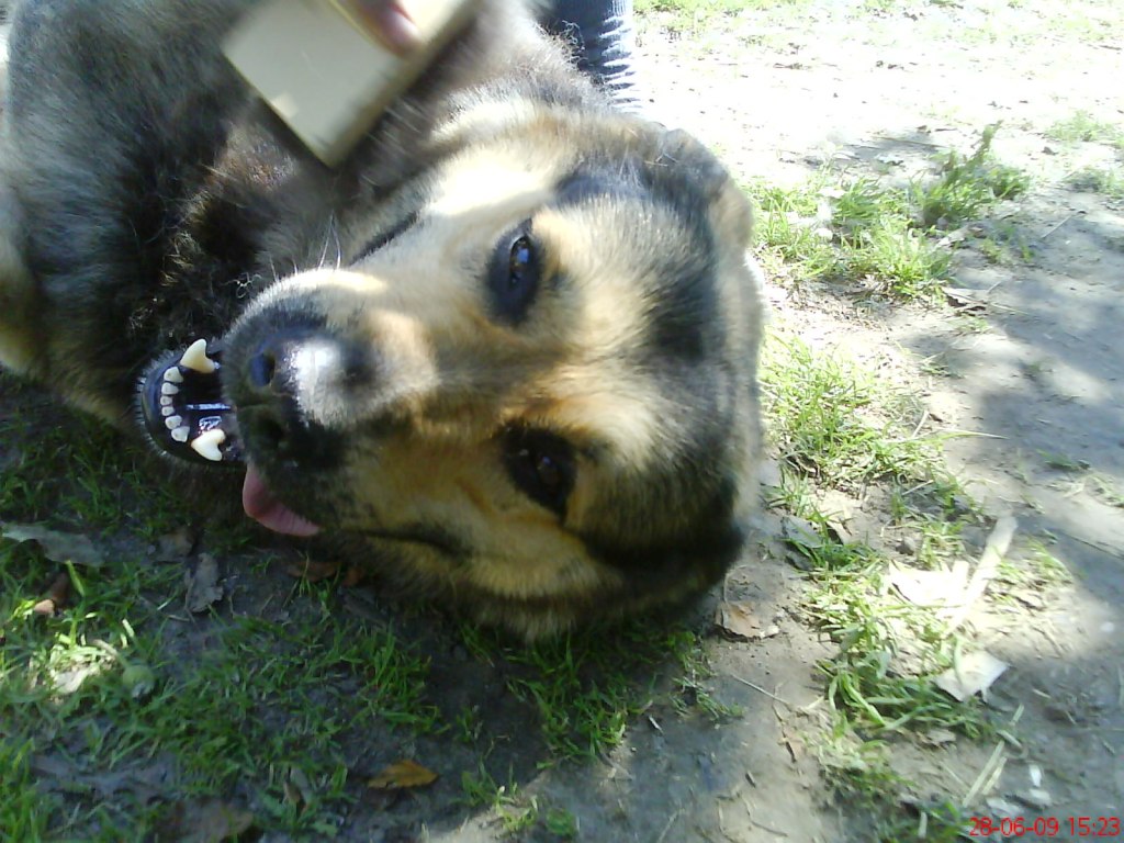 DSC00403