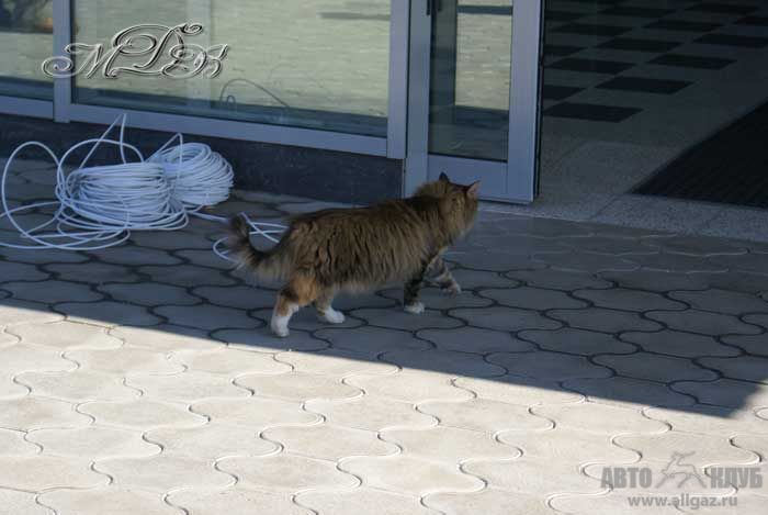 Dsc00657