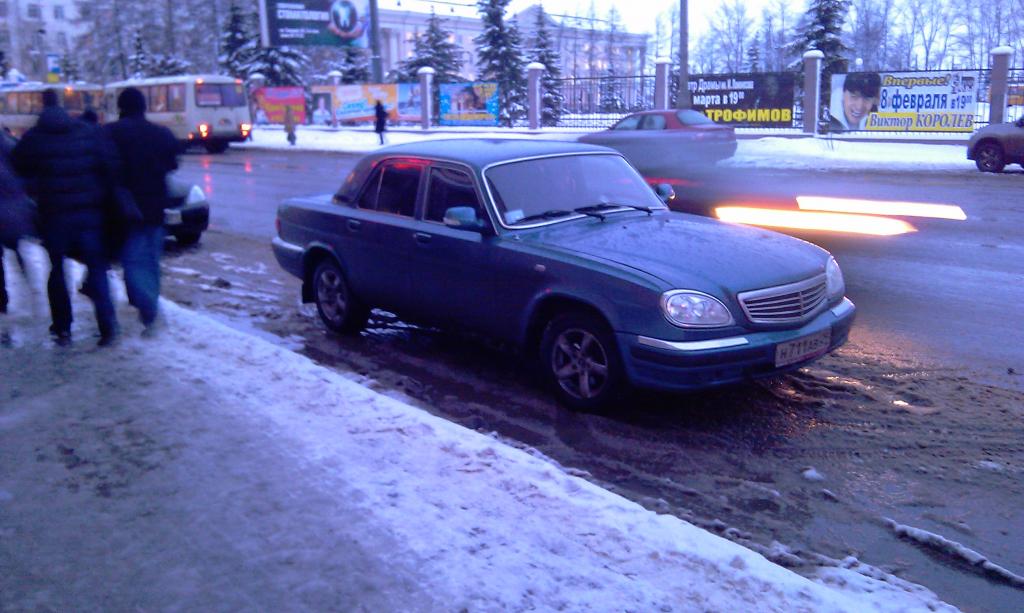 IMAG0088 - чумазая, все никак не получается помыть(((