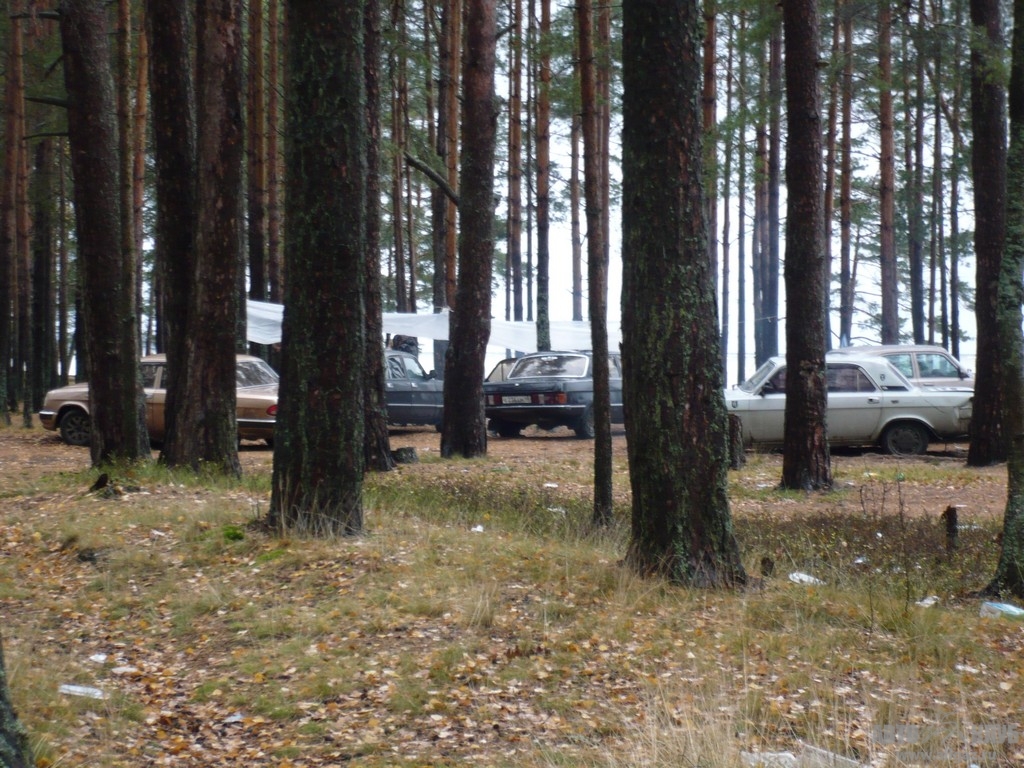Image00011