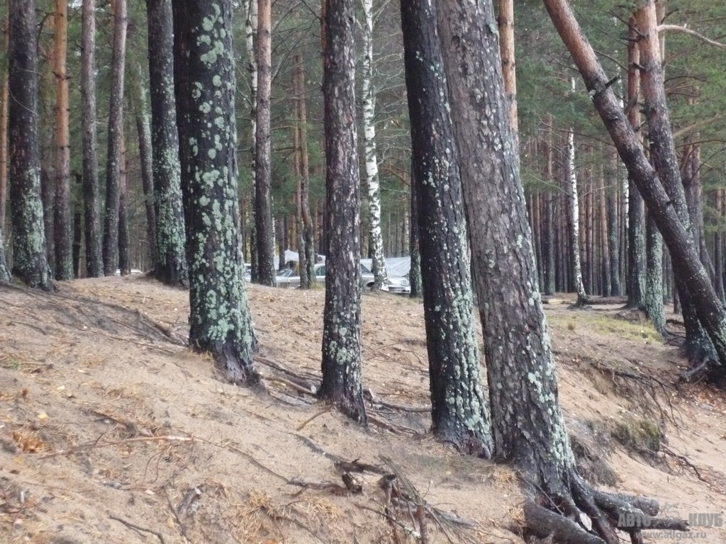 Image00033