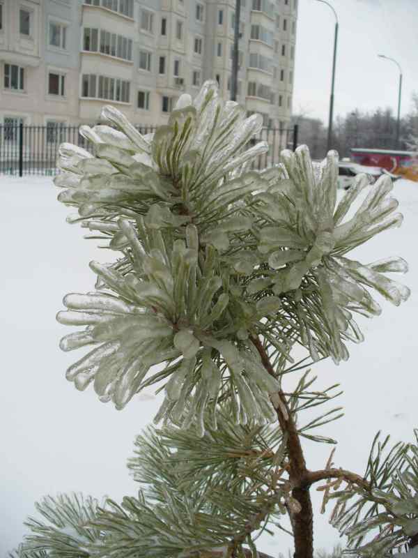 image01