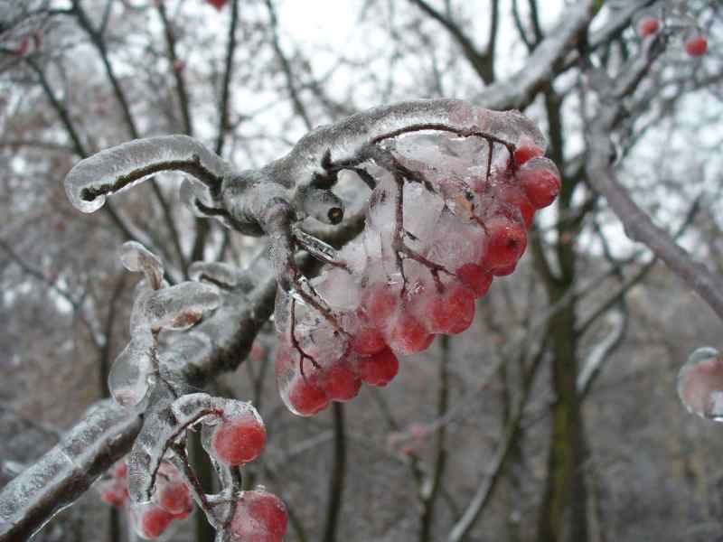 image02