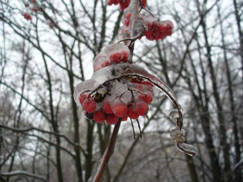 image03