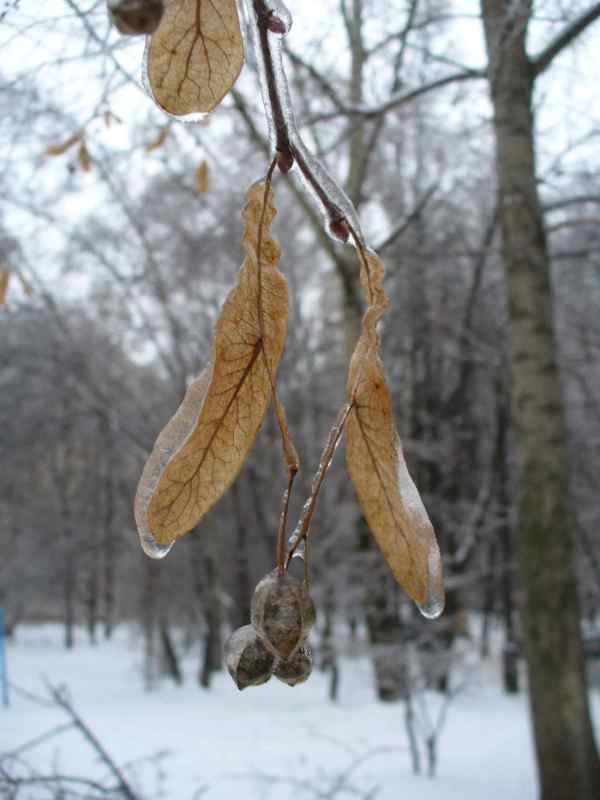 image04