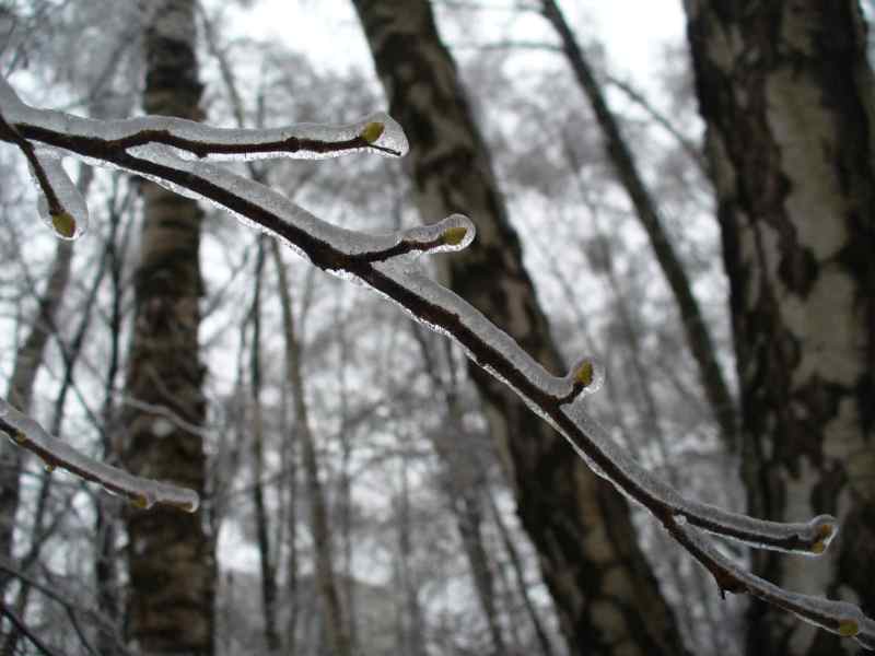 image05
