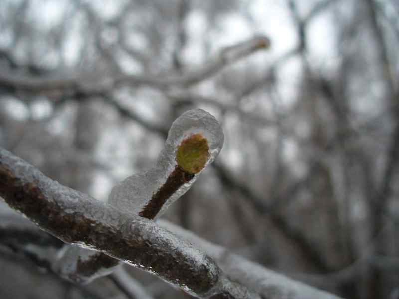 image06
