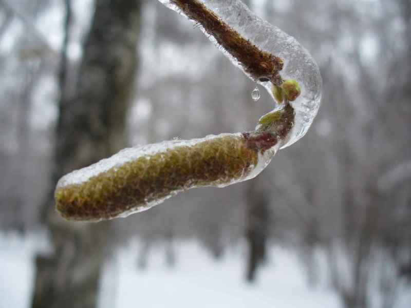 image07