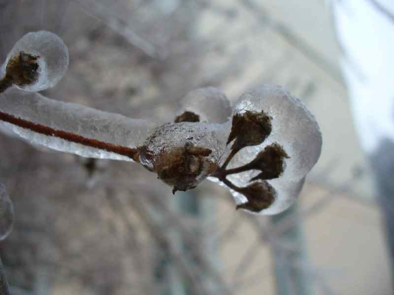 image11