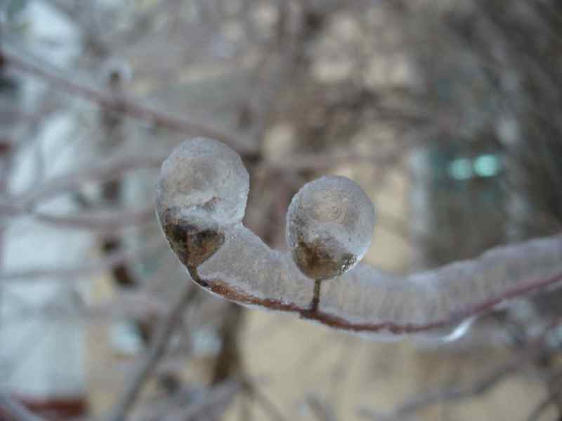 image12