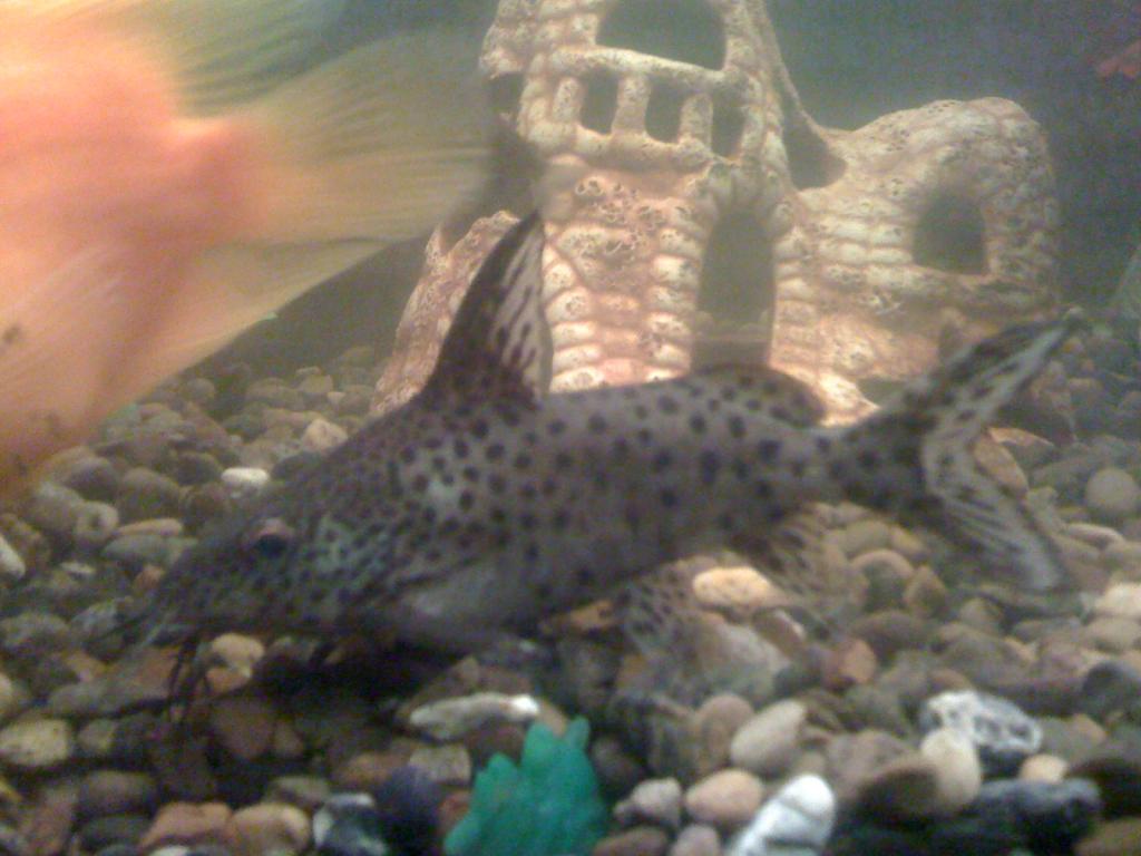 IMG 0274[1]