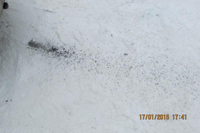 IMG 1632