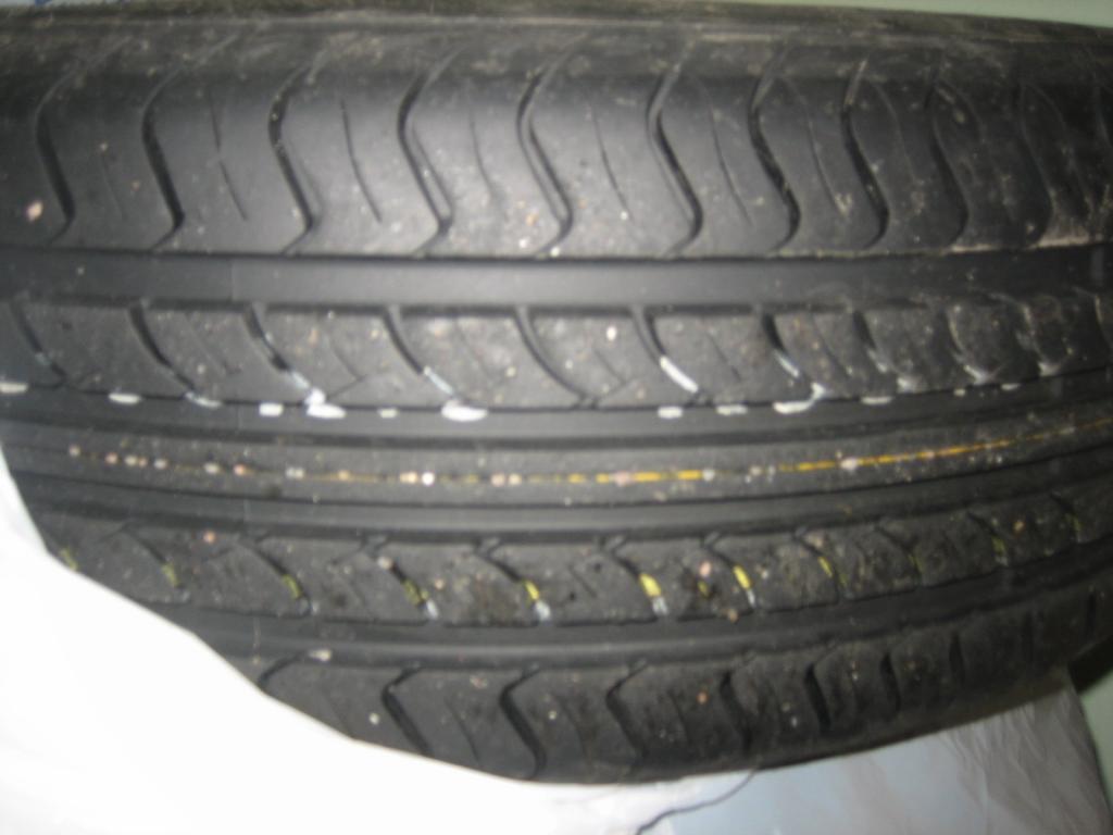 IMG 4646
