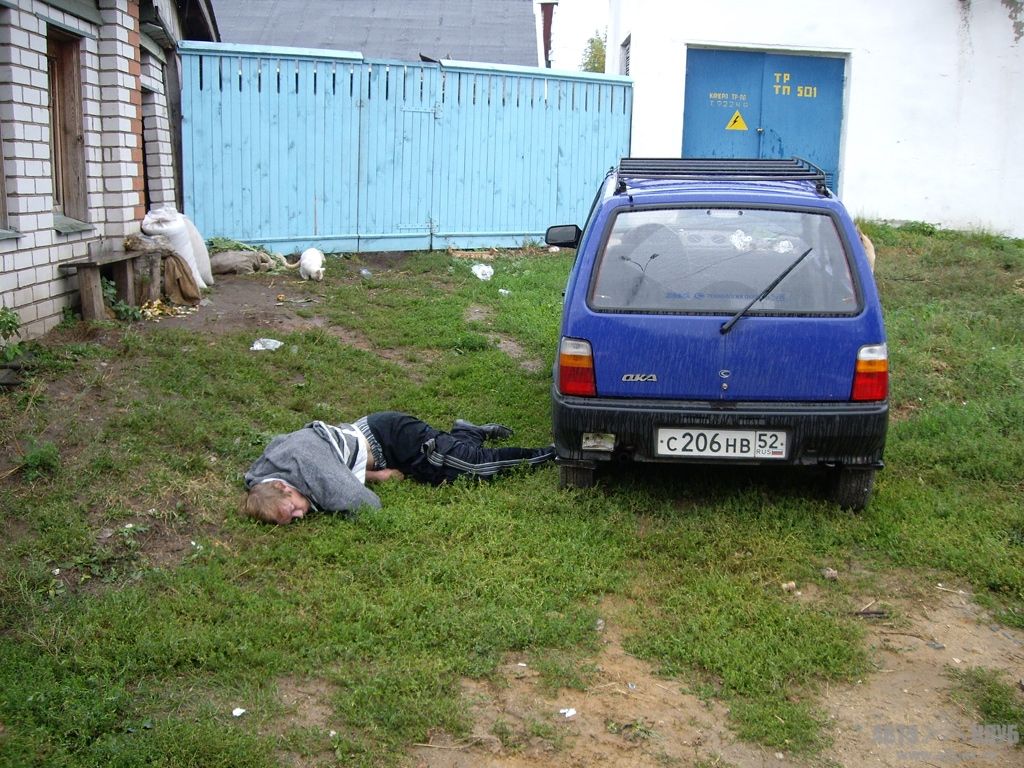 IMGP1202