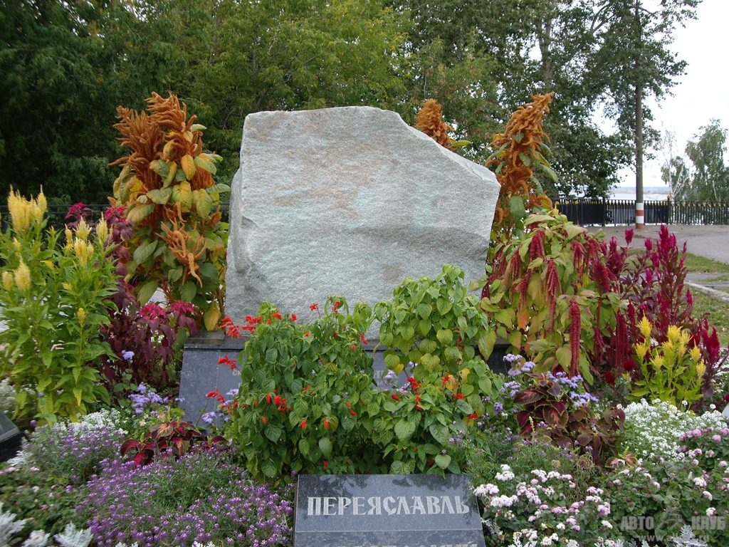 IMGP1231
