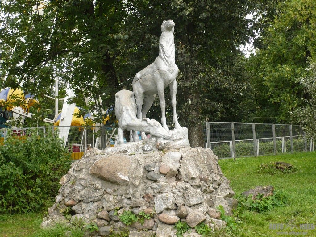 P1020998