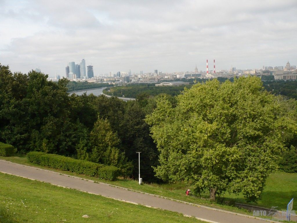 P1030392