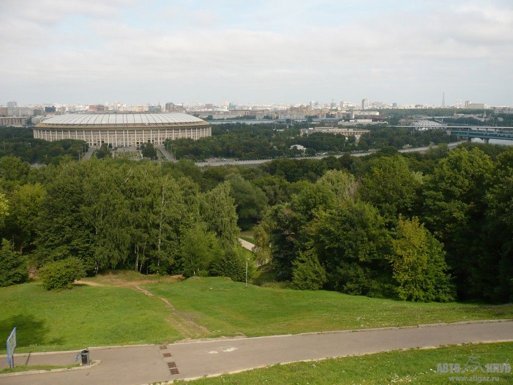 P1030393