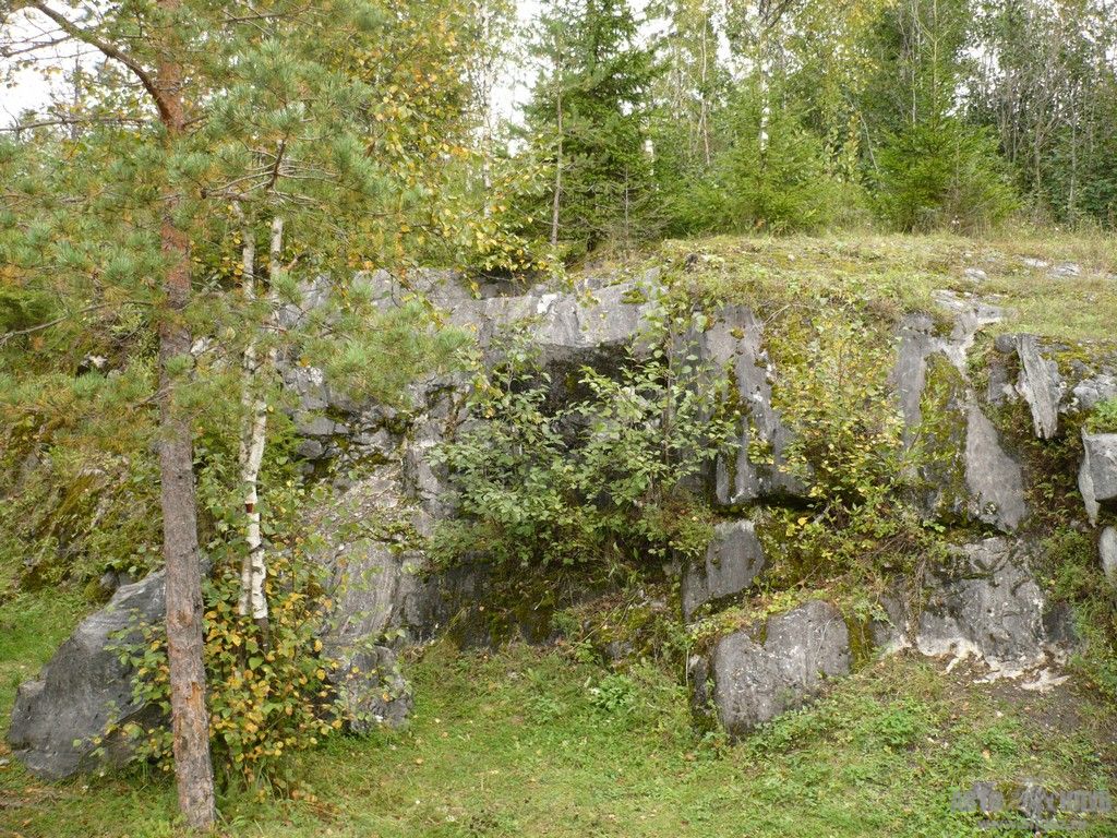P1030763