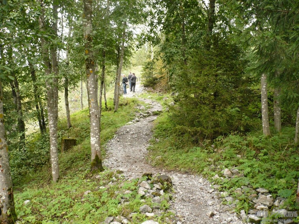 P1030769
