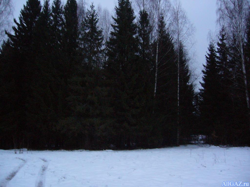 P1040569