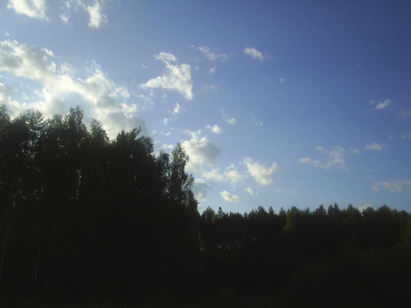 PIC 0013