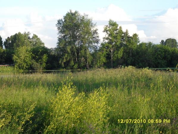 SDC10029