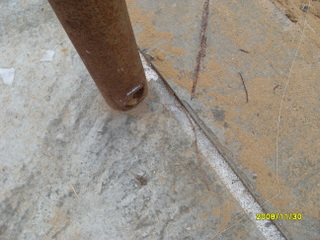 SDC10138